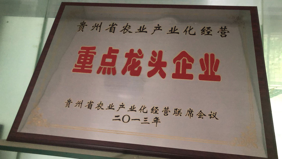 2013年重點(diǎn)龍頭企業(yè)